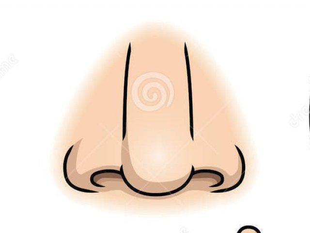 Olfato